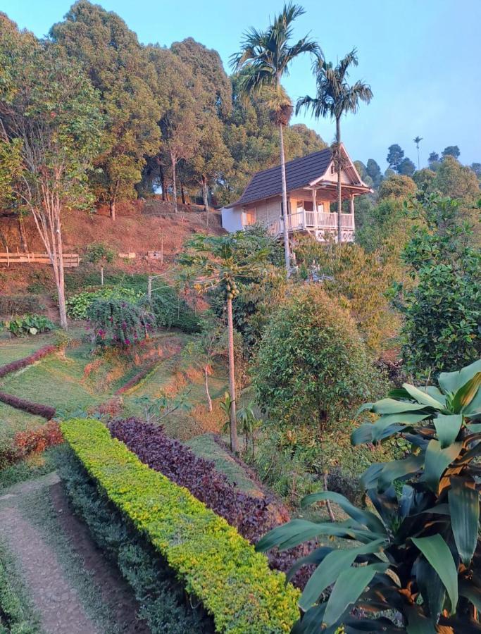 Garden Terrace Bali Bed and Breakfast Gobleg  Εξωτερικό φωτογραφία