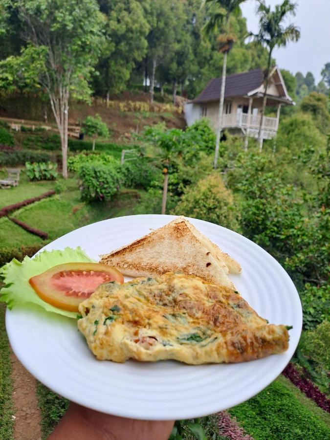 Garden Terrace Bali Bed and Breakfast Gobleg  Εξωτερικό φωτογραφία