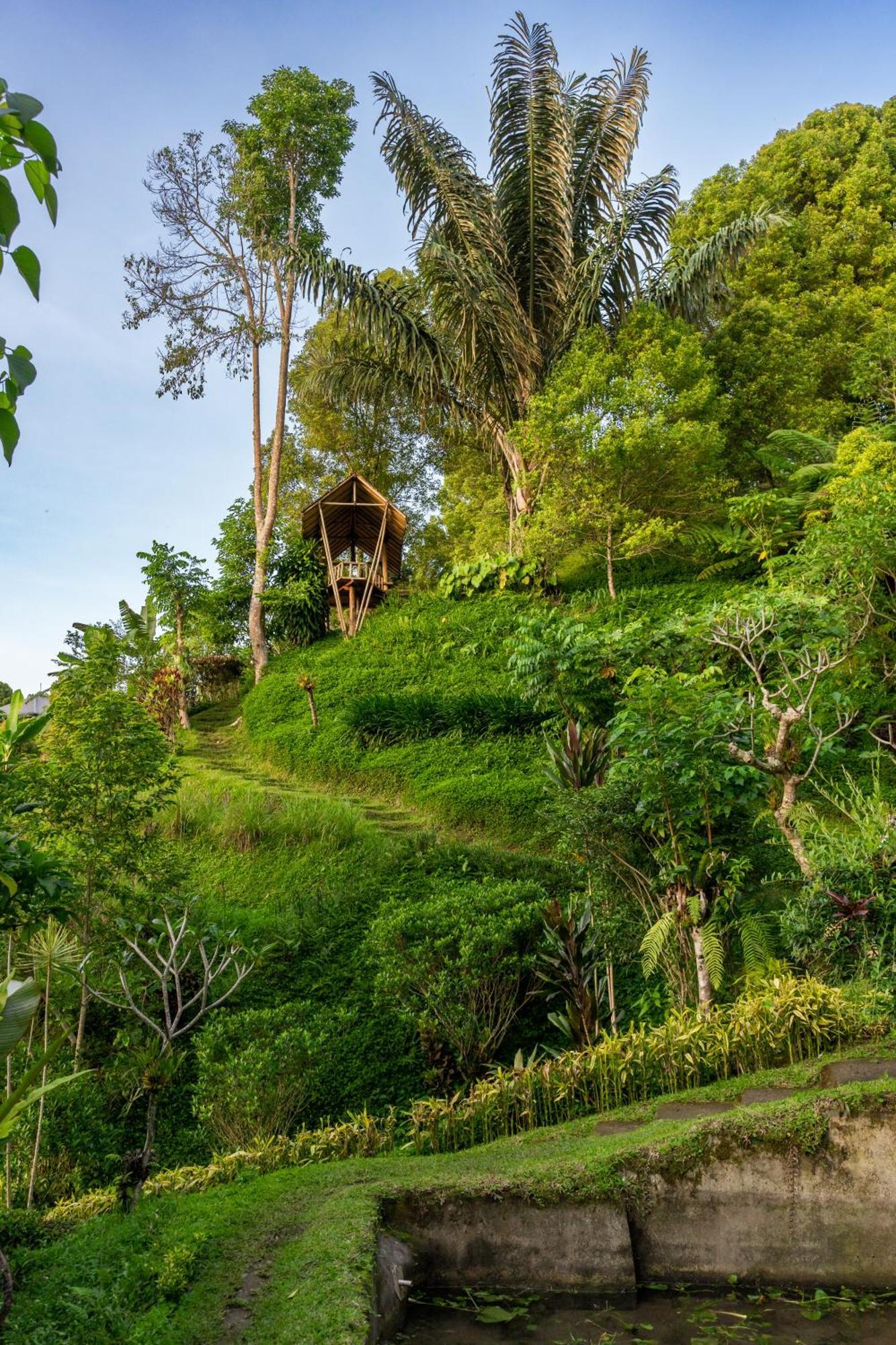 Garden Terrace Bali Bed and Breakfast Gobleg  Εξωτερικό φωτογραφία