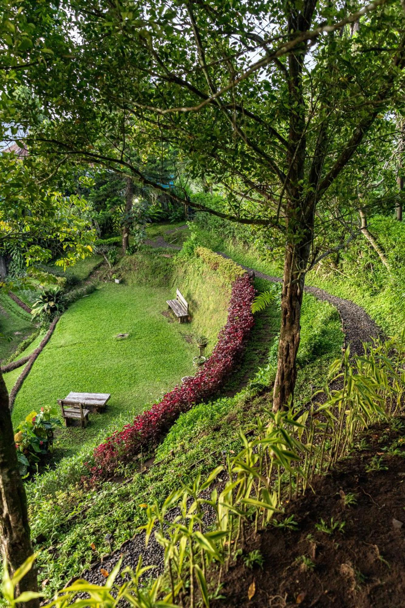 Garden Terrace Bali Bed and Breakfast Gobleg  Εξωτερικό φωτογραφία
