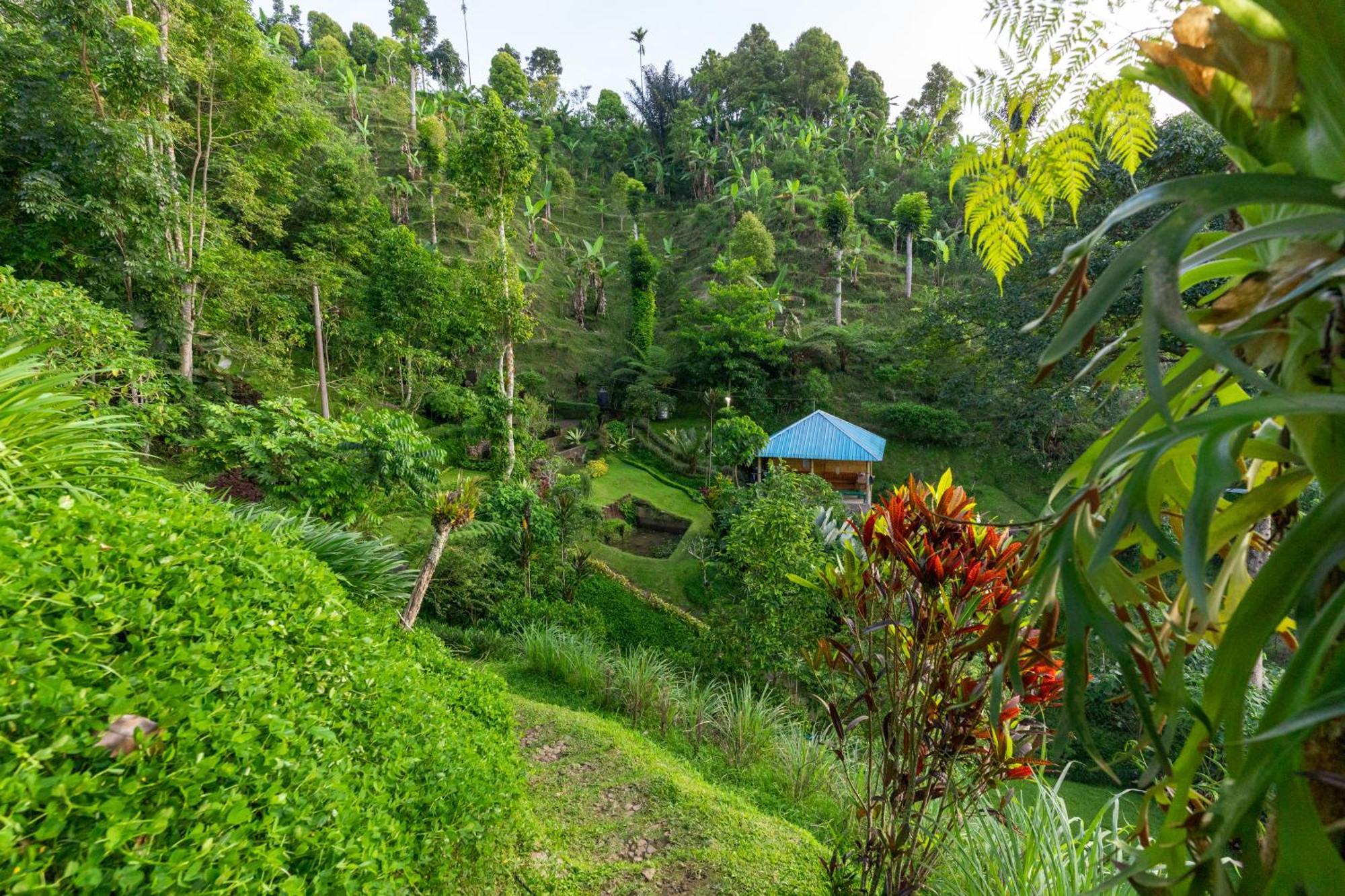 Garden Terrace Bali Bed and Breakfast Gobleg  Εξωτερικό φωτογραφία