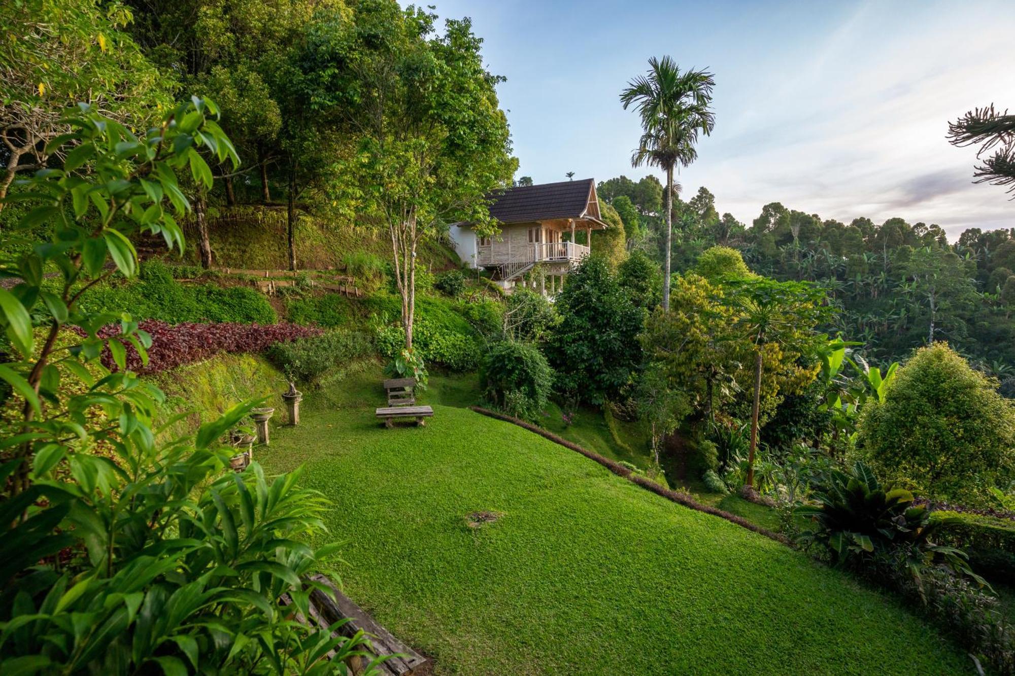Garden Terrace Bali Bed and Breakfast Gobleg  Εξωτερικό φωτογραφία