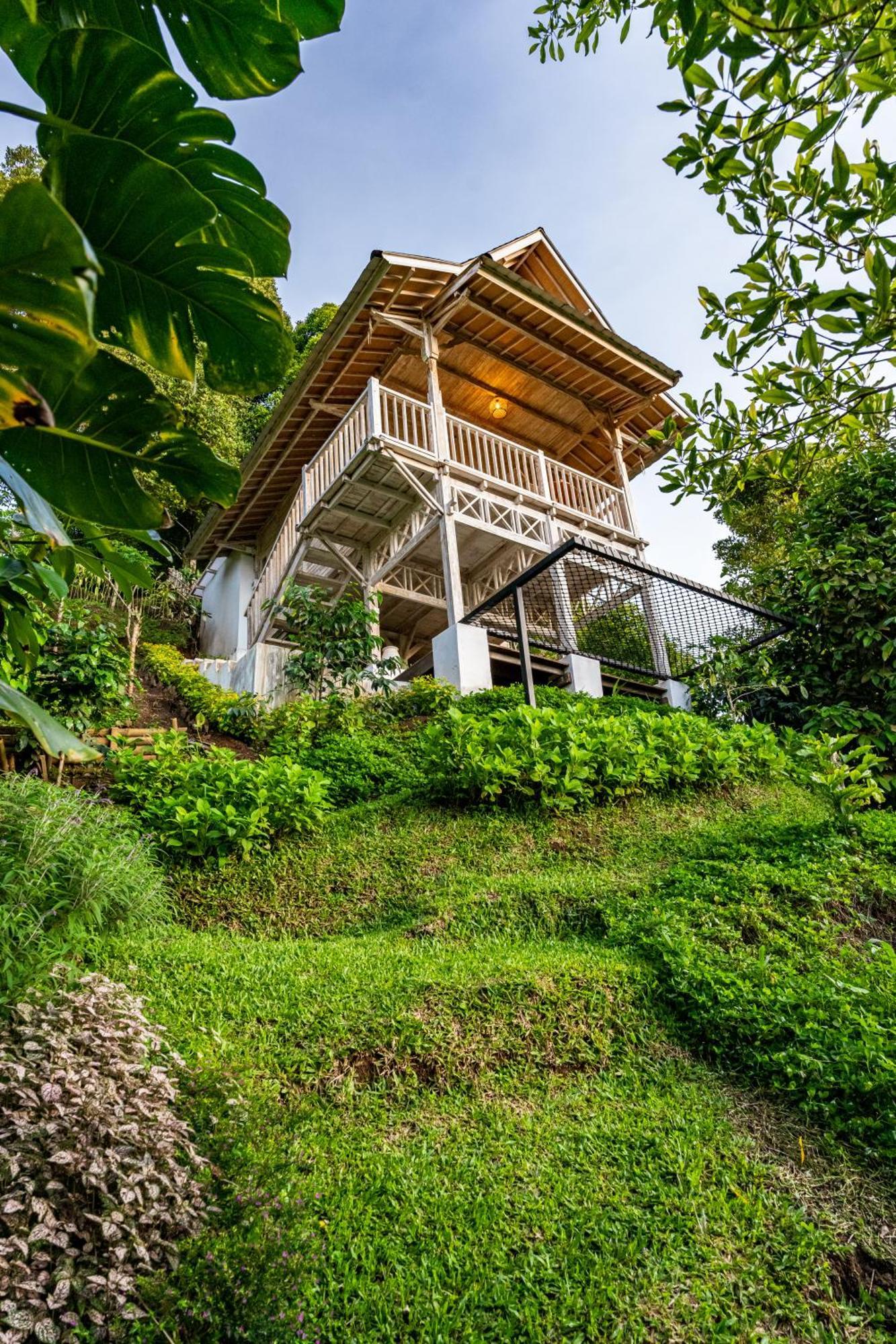 Garden Terrace Bali Bed and Breakfast Gobleg  Εξωτερικό φωτογραφία