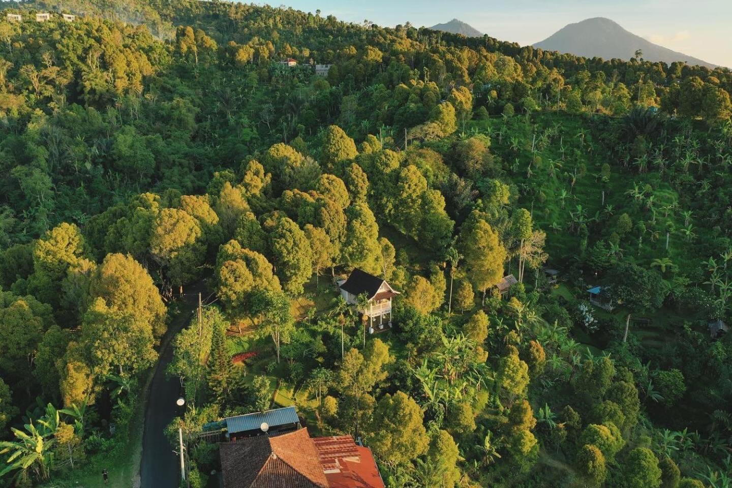 Garden Terrace Bali Bed and Breakfast Gobleg  Εξωτερικό φωτογραφία