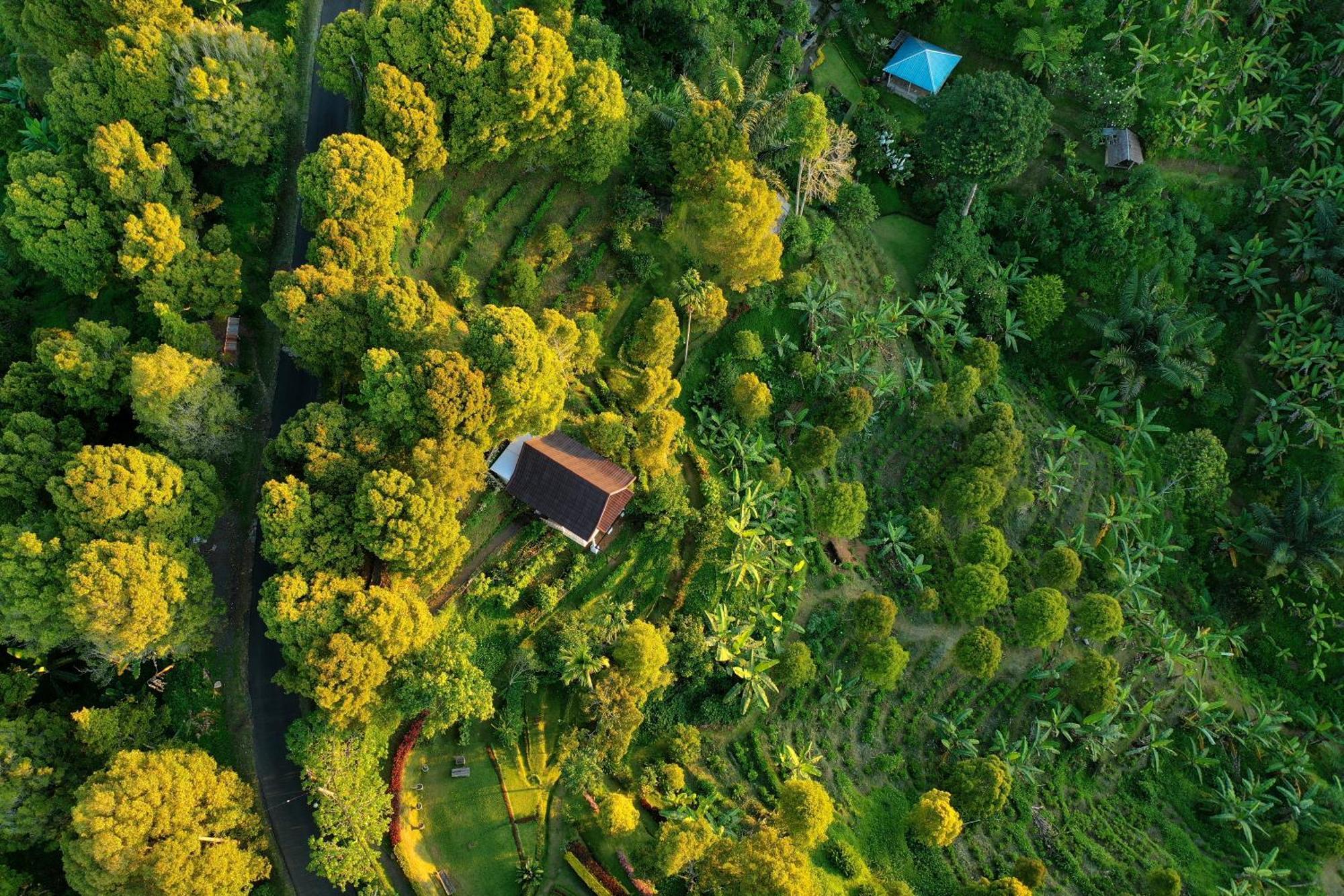 Garden Terrace Bali Bed and Breakfast Gobleg  Εξωτερικό φωτογραφία